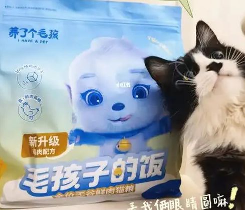 口粮！三只松鼠靠什么重返宠物食品赛道CQ9电子平台网站零食巨头盯上毛孩子(图4)