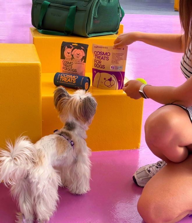 pet宠物零食以昆虫蛋白开辟全新赛道CQ9传奇电子中俄联合品牌cosmo(图2) pet宠物零食以昆虫蛋白开辟全新赛道CQ9传奇电子中俄联合品牌cosmo(图2)