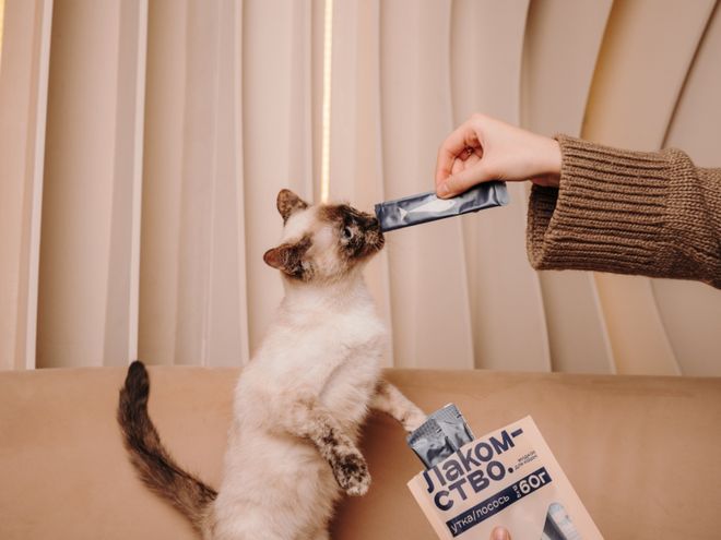 pet宠物零食以昆虫蛋白开辟全新赛道CQ9传奇电子中俄联合品牌cosmo(图1) pet宠物零食以昆虫蛋白开辟全新赛道CQ9传奇电子中俄联合品牌cosmo(图1)