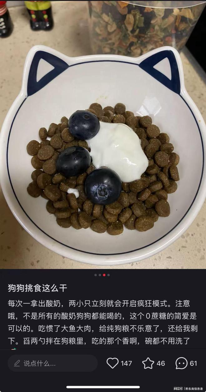 ”撬动萌宠经济与母婴信任双赛道CQ9电子简爱酸奶以“纯净配方