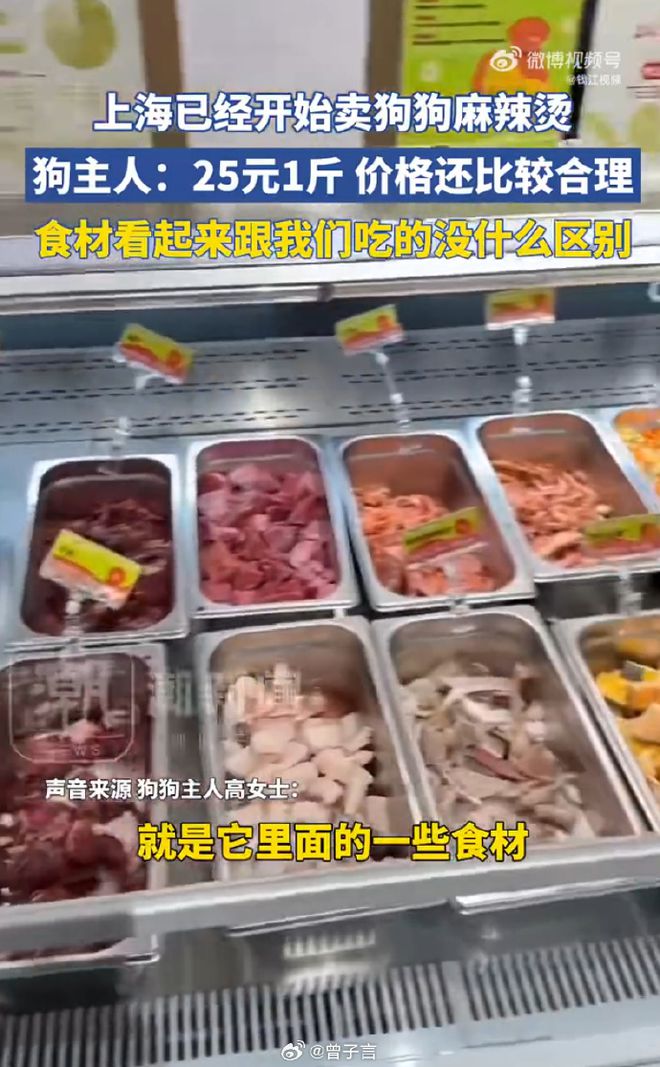 辣烫25一斤全是真肉上海狗有福了！CQ9电子破防了！上海惊现狗狗麻(图3)