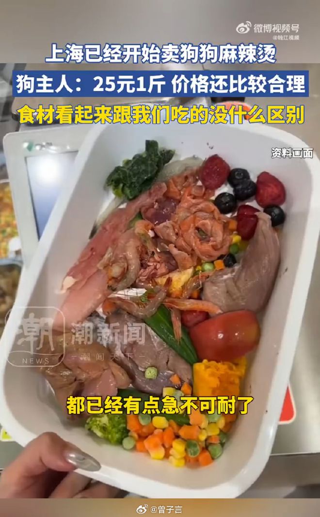 辣烫25一斤全是真肉上海狗有福了！CQ9电子破防了！上海惊现狗狗麻(图6)