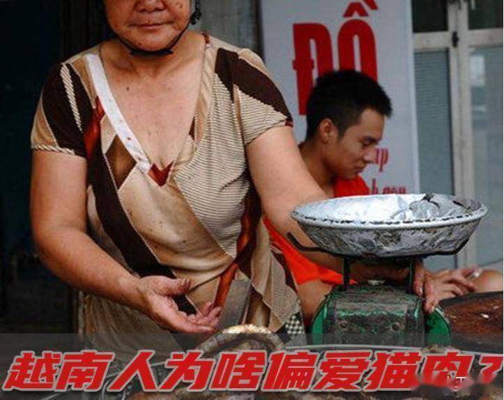 猫不惜跨国走私：从舌尖陋习到社会撕裂CQ9电子游戏越南一年狂吃400万只(图3)