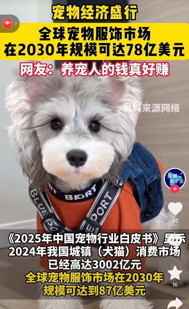 婴幼儿奶粉2倍！网友：活的猫狗还不如CQ9电子猫狗一年消费3000亿是(图4)