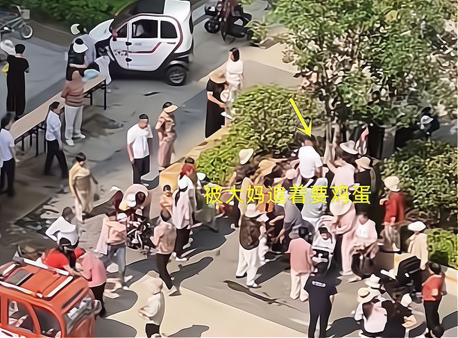 粽子大妈连盆都端走了还围堵物业要鸡蛋CQ9电子登录山东：小区端午免费包(图5)