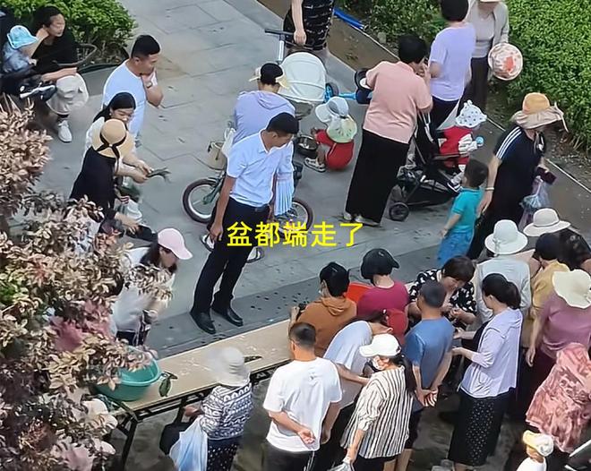 粽子大妈连盆都端走了还围堵物业要鸡蛋CQ