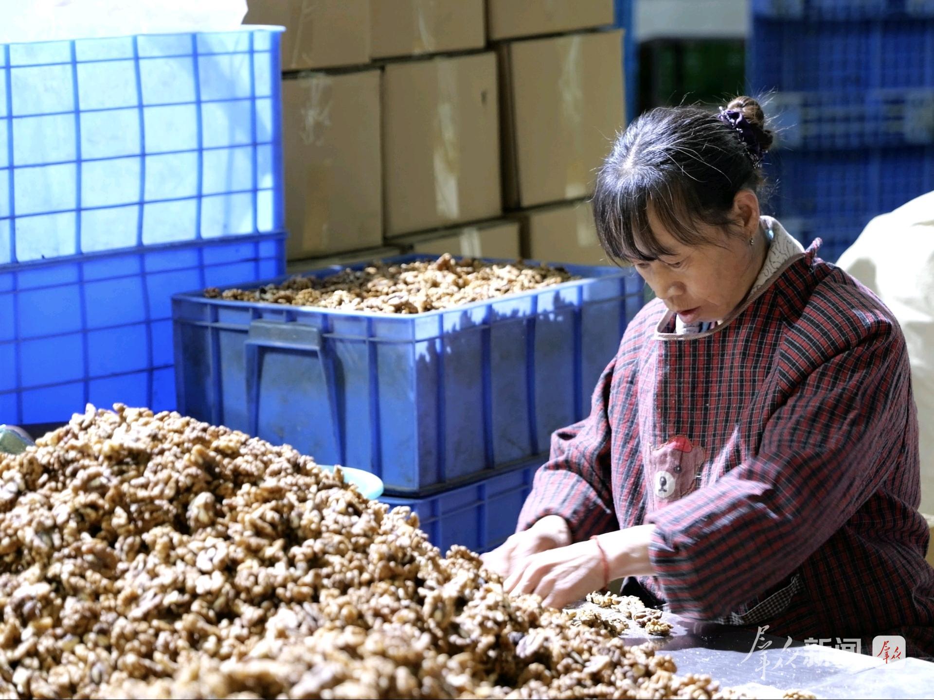 洛:小核桃闯荡大世界CQ9电子最新网站商(图4) 洛:小核桃闯荡大世界CQ9电子最新网站商(图4)